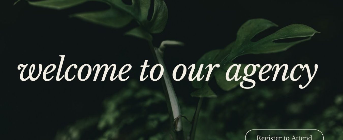welcome to our agency